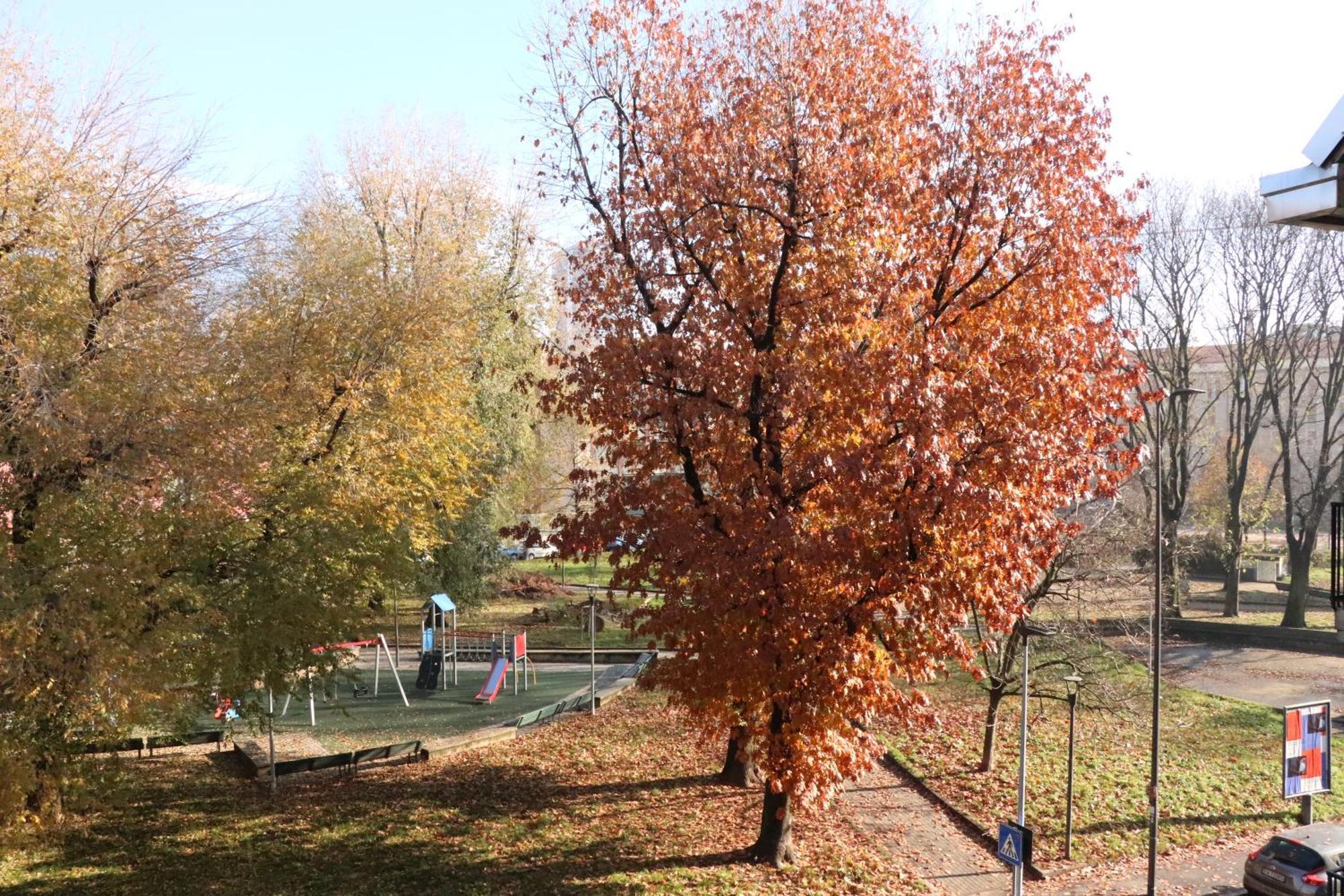 Appartamento Milano, Bovisa Politecnico, Dergano Metropolitana, Wifi - Garden Εξωτερικό φωτογραφία